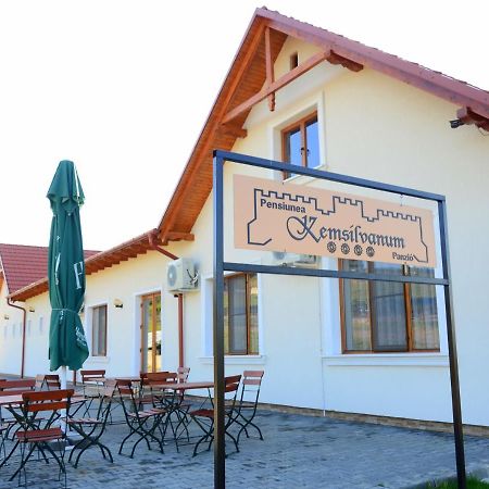 Pensiunea Kemsilvanum Fort Silvan Camar Екстериор снимка