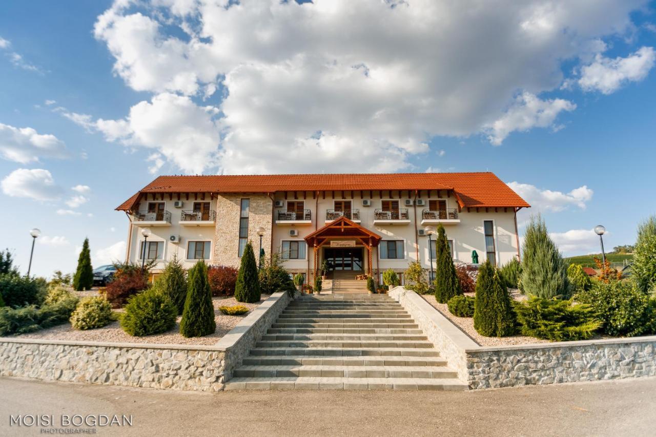Pensiunea Kemsilvanum Fort Silvan Camar Екстериор снимка